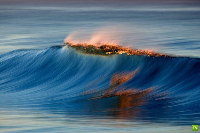 ����� ������� ������ ������ (43 ����)