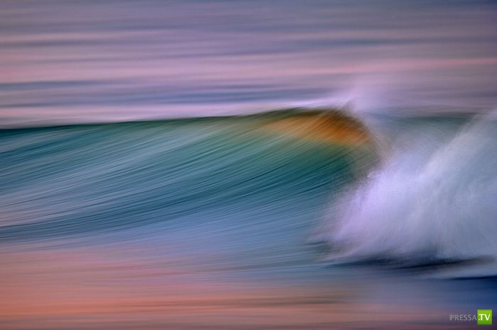 ����� ������� ������ ������ (43 ����)