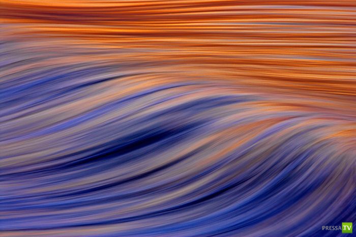 ����� ������� ������ ������ (43 ����)