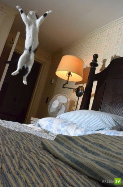 ��� �������� �������� (35 ����)