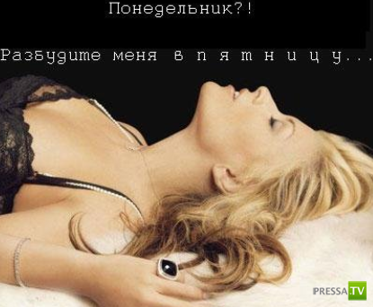 ����������� - ���� ������� (48 ����)