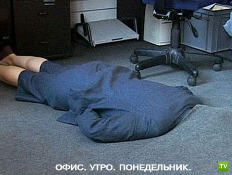 ����������� - ���� ������� (48 ����)