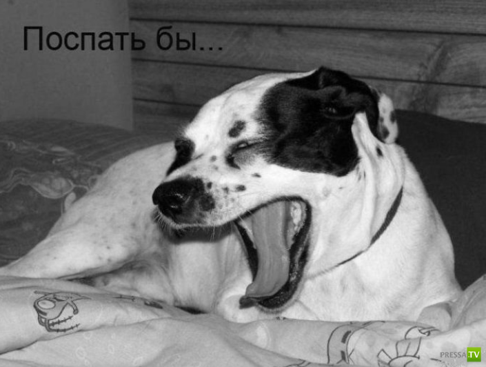 ����������� - ���� ������� (48 ����)