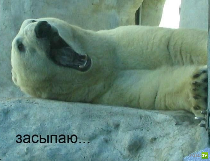 ����������� - ���� ������� (48 ����)