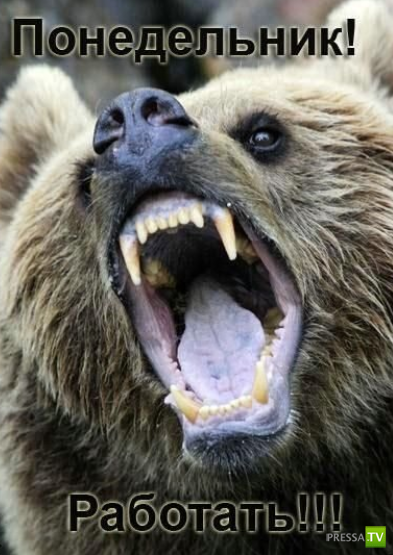 ����������� - ���� ������� (48 ����)