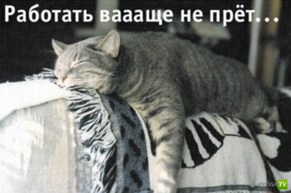 ����������� - ���� ������� (48 ����)