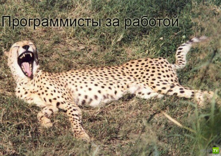 ����������� - ���� ������� (48 ����)