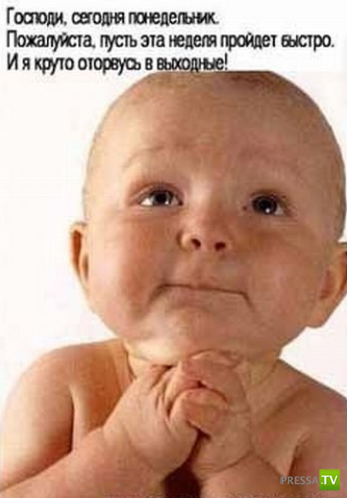 ����������� - ���� ������� (48 ����)