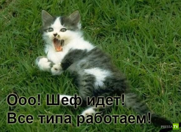 ����������� - ���� ������� (48 ����)