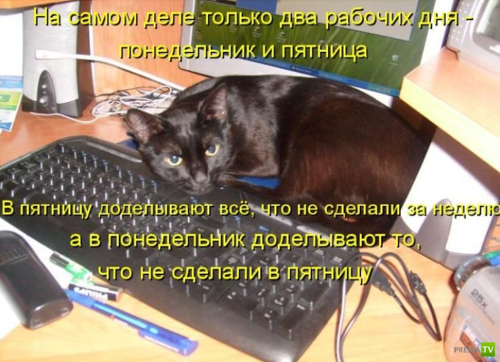 ����������� - ���� ������� (48 ����)