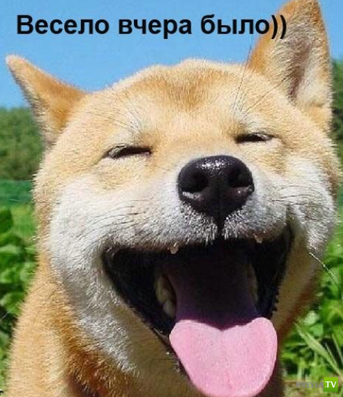 ����������� - ���� ������� (48 ����)