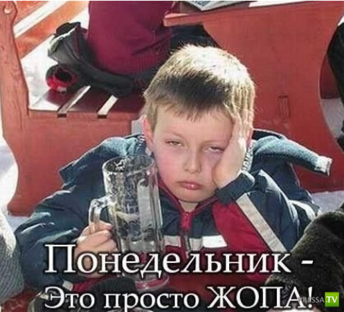 ����������� - ���� ������� (48 ����)