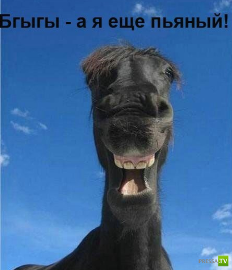 ����������� - ���� ������� (48 ����)