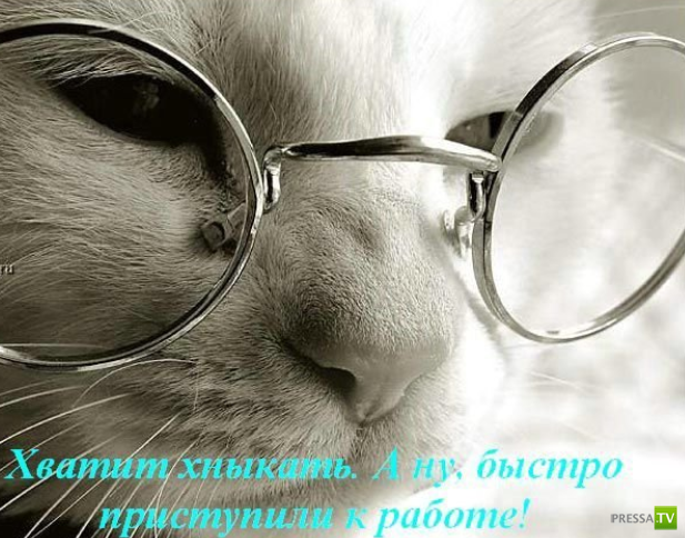 ����������� - ���� ������� (48 ����)