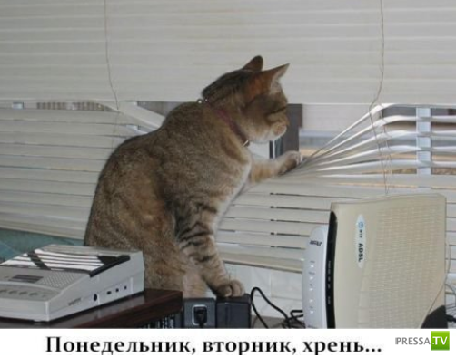 ����������� - ���� ������� (48 ����)