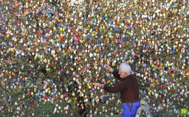 �������� ���������� ���������� (53 ����)