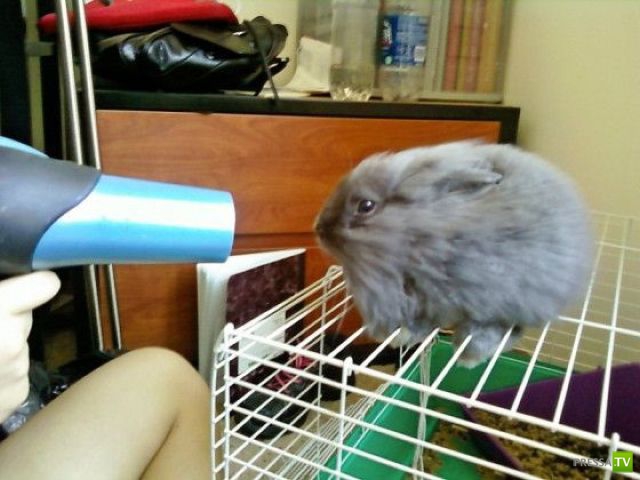 �������� ���������� ���������� (53 ����)