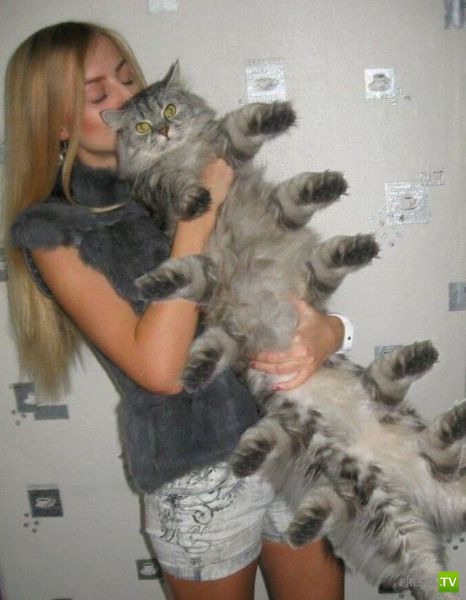 �������� ���������� ���������� (53 ����)