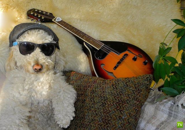 �������� ���������� ���������� (53 ����)