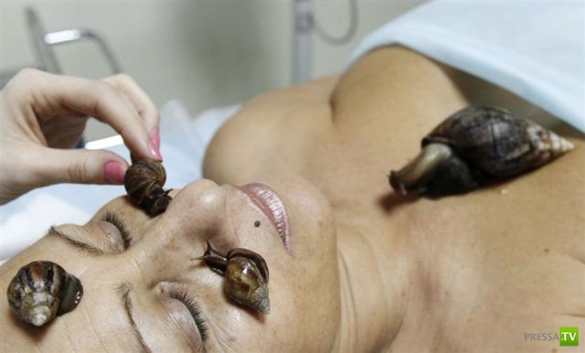 �������� ���������� ���������� (53 ����)