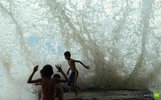 �������� ���������� ���������� (53 ����)