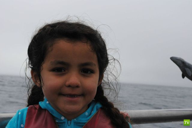 �������� ���������� ���������� (53 ����)