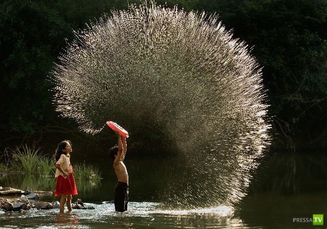 �������� ���������� ���������� (53 ����)