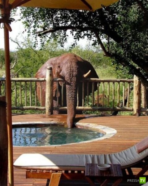 �������� ���������� ���������� (53 ����)