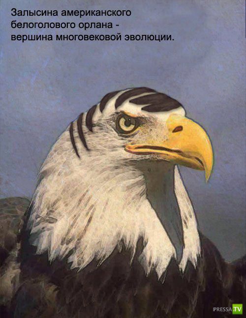 ������������ ����� � ������� (9 ����)