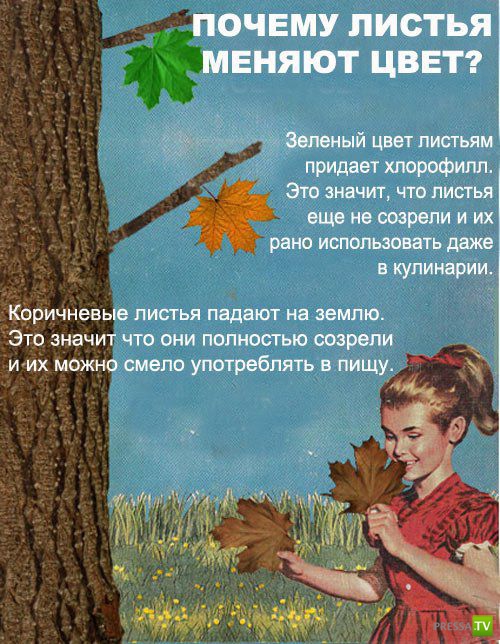 ������������ ����� � ������� (9 ����)