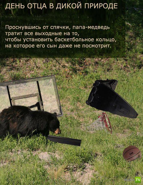 ������������ ����� � ������� (9 ����)