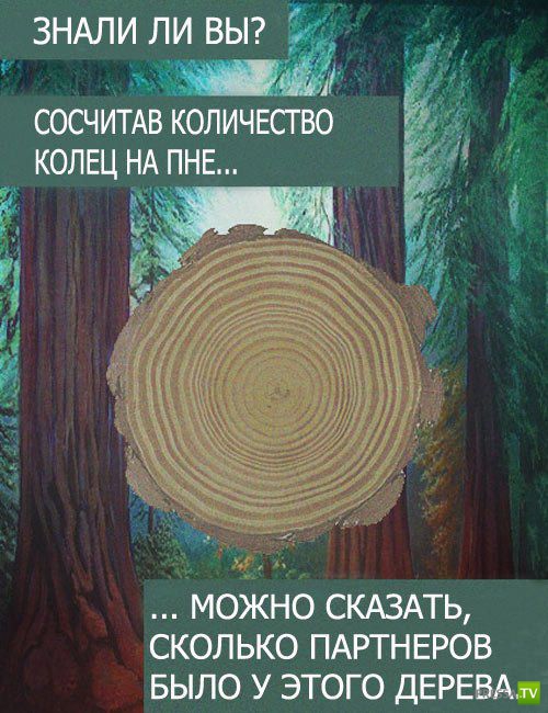 ������������ ����� � ������� (9 ����)