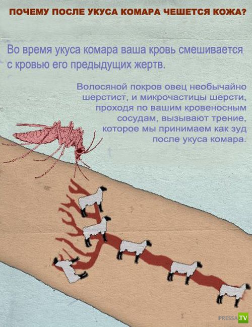 ������������ ����� � ������� (9 ����)