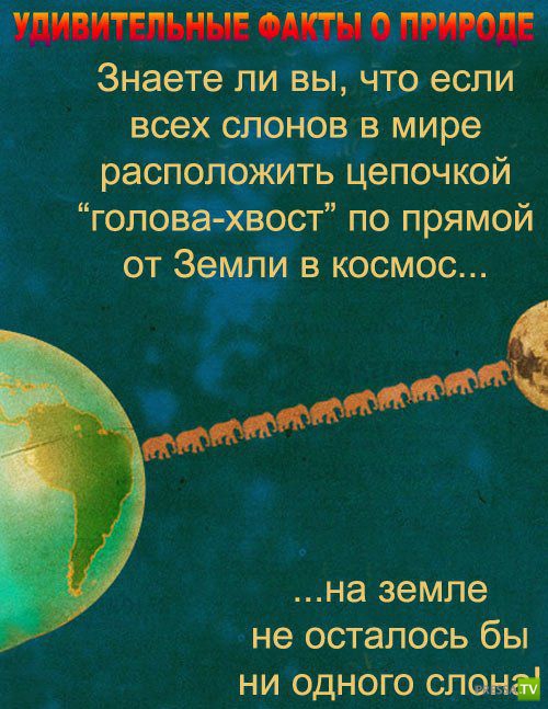 ������������ ����� � ������� (9 ����)