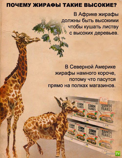 ������������ ����� � ������� (9 ����)