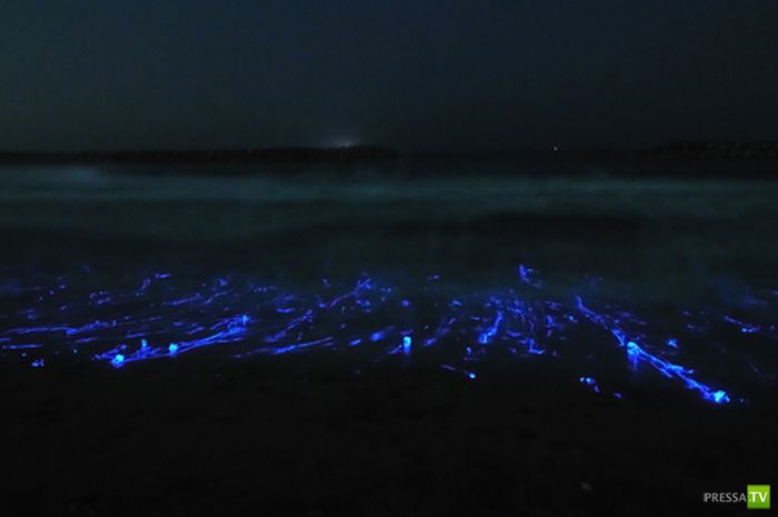 ���������� ������ (5 ����)