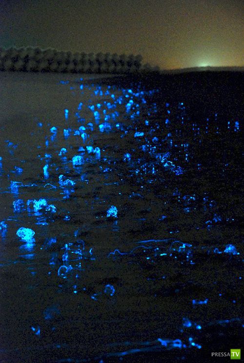 ���������� ������ (5 ����)