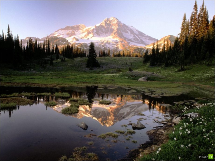 ����������� ������ ����� ������� (24 ����)