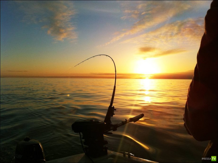 ����������� ������ ����� ������� (24 ����)