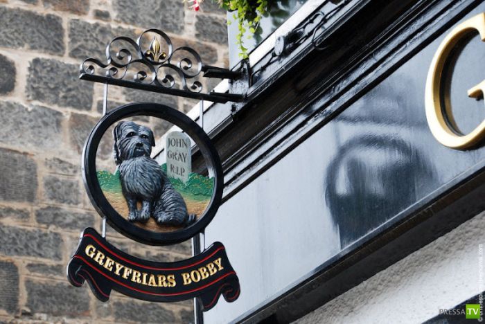 ������� ���������� ����� (27����)