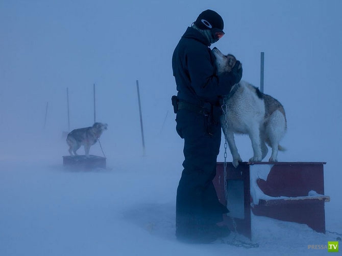    2012  National Geographic ... (31 )