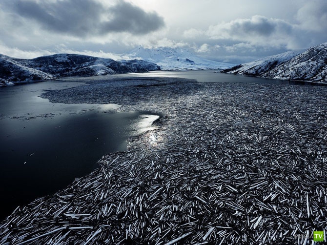    2012  National Geographic ... (31 )