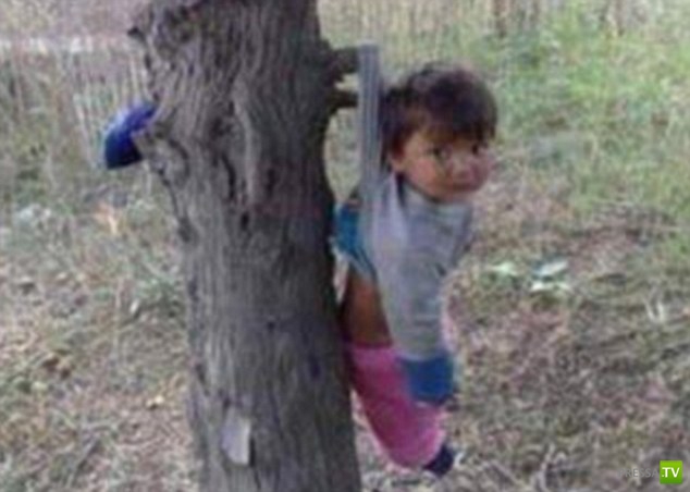 ���������������� ��������... (29 ����)