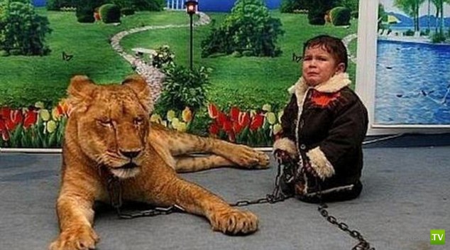 ���������������� ��������... (29 ����)