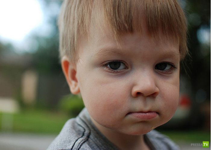 ����� ������... (13 ����)