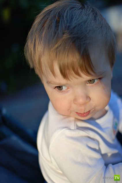 ����� ������... (13 ����)