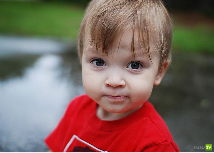 ����� ������... (13 ����)