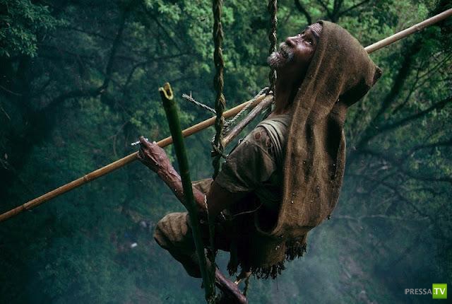 Как в Непале собирают мед диких пчел (13 фото)