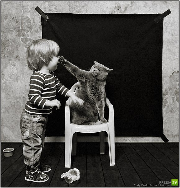 ��� � ������ ... �������� ���������� �� Andy Prokh (9 ����)