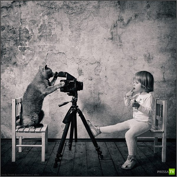 ��� � ������ ... �������� ���������� �� Andy Prokh (9 ����)